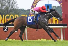 Wealthyness (Jackson Low Kang Cheng) scoring an easy win for former Macau trainer Ricky Choi (above) in the Class 5A race over 1,200m at Kuala Lumpur on Nov 17.