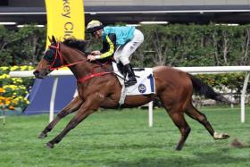 Raging Blizzard (Zac Purton) powering away to victory in a Class 3 race over 1,200m at Happy Valley on March 13.