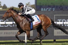 Sydney raider Belclare has won his last two starts with jockey Tyler Schiller, but it will be Nash Rawiller who takes over in the Group 1 Railway Stakes (1,600m) at Ascot on Nov 23.
