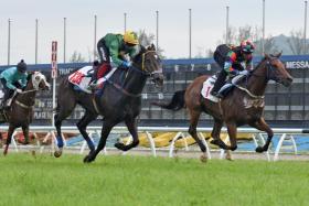 Rich N Powerful (Nazir Aiman) finishing the best on the outside to narrowly beat Bold Runner (Ruzaini Supien), on the rails, in barrier trial No. 2 at Sungai Besi on Nov 26.
