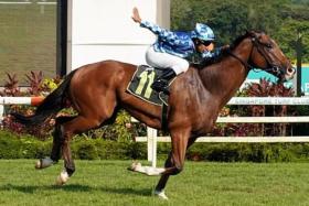 Dream Alliance (Bruno Queiroz) scoring the last of his four wins in a Class 2 race over 1,400m at Kranji on Oct 14, 2023.
