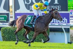 Super Smink will have her 2YO campaign-winning partner Chris Parnham in the irons in the Group 1 Northerly Stakes (1,800m) at Ascot on Dec 7.
