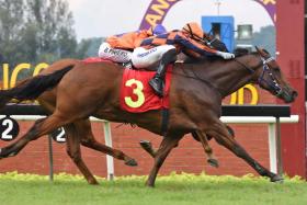 Bold Runner (Ruzaini Supien) winning his debut race on Sept 22. He looks ready for another victory, judging by his workout at Kuala Lumpur on Dec 17.
