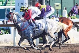 Reliable Profit (H. Bowman) making it three-wins-in-a-row in a Class 4 (1,800m) event at Sha Tin on Dec 1.