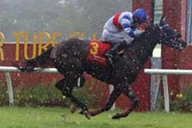 Arigato (Lim Shung Uai) winning the Sungai Besi Autoworld Cup over 1,200m in Kuala Lumpur on Dec 22. 