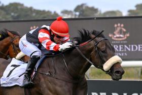 Outlaw King (Sean Veale) sprinting away at Hollywoodbets Kenilworth to hand trainer Dean Kannemeyer a third successive win in the Grade 2 De Grendel Cape Merchants (1,200m) on Dec 22.