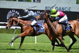 The Kris Lees-trained Rustic Steel (Nash Rawiller) digging deep on the rails to win the Big Dance (1,600m) from Cisco Bay (Tyler Schiller) on Melbourne Cup day on Nov 1, 2022.