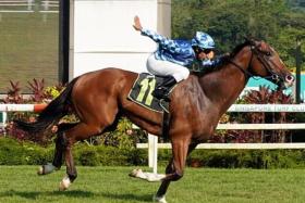 Dream Alliance (Bruno Queiroz) scoring his last win in a Class 2 (1,400m) at Kranji on Oct 14, 2023. He was then trained by Tim Fitzsimmons and will race for Richard Lim in the Group 1 Penang Gold Cup (2,000m) at Batu Gantong on Dec 29.
