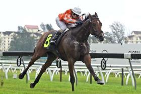 Pacific Victory (Jerlyn Seow) giving trainer Jason Ong his first Malaysia victory on Dec 28 in Kuala Lumpur.