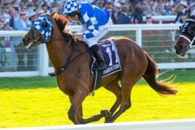 Hemlock Stone (Patrick Carbery) landing a major boilover in the Group 2 Perth Cup (2,400m) at Ascot on Jan 1.
