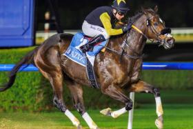 The Bhupat Seemar-trained Tuz (Tadgh O&#039;Shea) winning the 2024 Dubawi Stakes (1,200m) at Meydan on Jan 5, 2024. The exciting sprinter will attempt to go back-to-back in the Group 3 dirt event on Jan 3.
