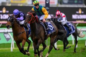 Ceolwulf (Chad Schofield) storming home to snare the Group 1 King Charles III Stakes (1,600m) at Randwick on Oct 19 2024.
