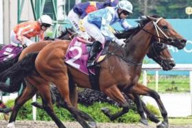 Super Salute (Manoel Nunes) claiming the Group 3 New Year Cup (1,200m) on Jan 6, 2024. One year on, the Group staple tries to restore some gloss to his fading career with a Malaysian restart that kicks off on Jan 12.