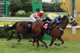 Vincent's Star (Rueven Ravindra) getting the better of stable companion Leong Ma Biscuit (How Yang) to hand trainer Ismadi Ismail a stable quinella in the Enrich Stakes A (1,200m) in Ipoh on Jan 11.PHOTO: HEW FEE KIT
