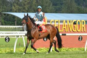 Good Fight have been turning heads at Sungai Besi in the morning.