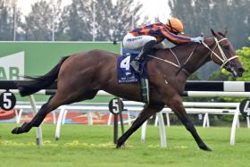 Ruzaini Supien guiding Duma to his debut win in an Open Maiden (1,200m) at Sungai Besi on Sept 22. The Malaysian champion jockey reunites with the unbeaten 3YO on Jan 19.
