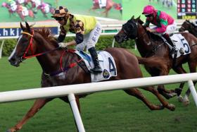 Magic Control is facing the uphill task of upstaging Hong Kong sprint star Ka Ying Rising in the Group 1 Centenary Sprint Cup (1,200m) at Sha Tin on Jan 19. Top Australian jockey Craig Williams flies in for the steering duties.
