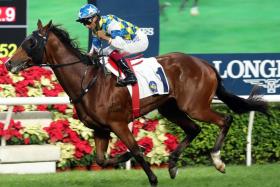 The Pierre Ng-trained Galaxy Patch recording the third of his seven wins in the Lord Kanaloa Handicap (1,200m) at Sha Tin on Dec 10, 2023. Effective over more ground since, he contests the Group 1 Stewards&#039; Cup (1,600m) on Jan 19.


