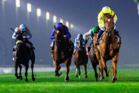 The Simon &amp; Ed-trained Choisya (Mickael Barzalona) giving her rivals a hiding in the Group 2 Cape Verdi Stakes (1,600m) at Meydan on Jan 17. Hot favourite Romantic Style (William Buick, in all-blue silks) tried hard, but was left chasing shadows, settling for second place more than five lengths away.
