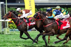 View Of The World crossing the line first in the last race at Happy Valley on Jan 22 to hand jockey Zac Purton the absolute record of most winners, 1,814, by a jockey in Hong Kong.
