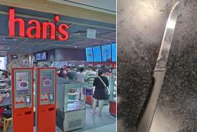 Lam Hoe Lian allegedly took a knife from a table at Han’s Cafe in Velocity @ Novena Square shopping mall and tried to rob a customer.