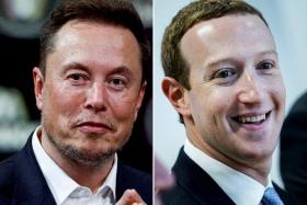 Mr Elon Musk (left) and Mr Mark Zuckerberg have been egging each other into a mixed martial arts cage match in Las Vegas since June.