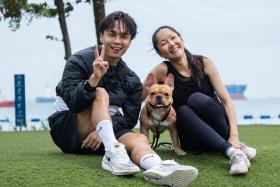 Mr Jackie See and Ms Judyvein Cheng bought french bulldog Wangcai as a four-month-old puppy in 2018 from a local backyard breeder.