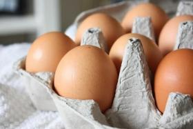 Egg importer fined for failing to obtain SFA certification