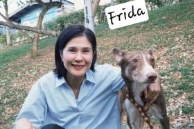 Lin Meijiao with a street dog from SOSD.