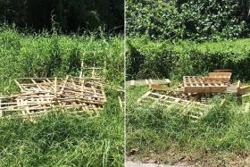 Dismantled wooden crates and pallets disposed illegally along Lim Chu Kang Lane.