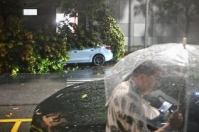 Fallen trees affecting vehicles along Upper Hokien Street on Sept 17.