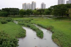 White liquid was spotted in the Bishan-Ang Mo Kio Park river on Dec 13. PUB said it will monitor the location closely in the next few days.