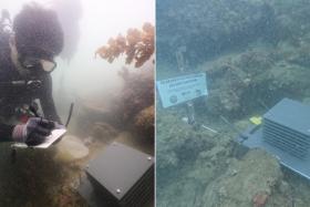 NUS marine biologist Huang Danwei noting down his observations after an Autonomous Reef Monitoring Structure unit was installed in Singapore's southern waters.