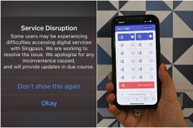 The intermittent Singpass problem also affected access to other government online services. 
