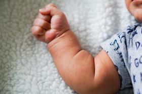 Sixteen men and women have been taken into custody for trading the babies aged between three days and three months old.