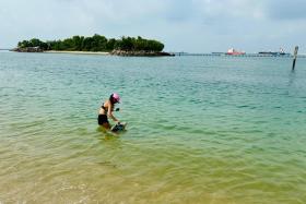 The water quality at Tanjong Beach has returned to normal and stable levels following the oil spill in June.